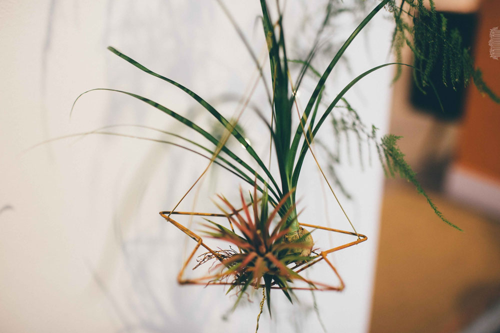 10 Fleursdefee Fleuriste Evenementiel Defile Caroline Quesnel Alisonbounce