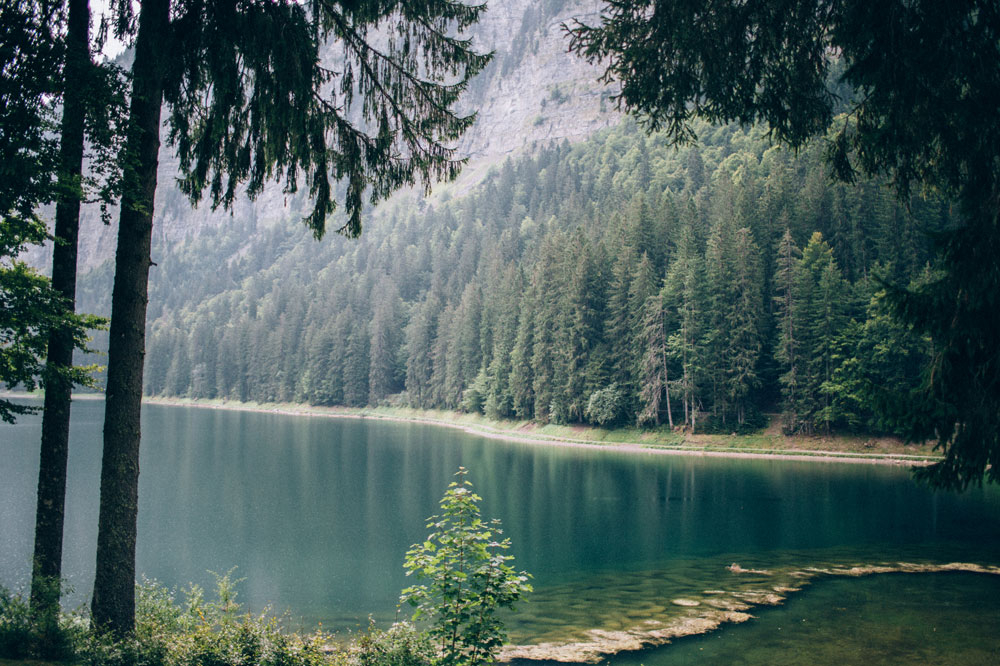 14 Fleursdefee Mariage Morzine Ingridlepanphotographe